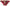 Dolce & Gabbana Chic Maroon Beige Logo Print Bikini Bottom