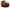 Dolce & Gabbana Elegant Brown Leather Belt with Gold Buckle