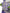 Cavalli Elegant Purple Floral Jersey Dress