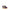 New Balance Multicolored Sneakers