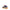 New Balance Multicolored Sneakers