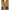 Add Bronze Polyamide Jackets & Coat