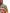 Dolce & Gabbana Multicolor Cotton Hooded Pullover Sweater