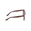 Guess Jeans Brown Injected Sunglasses